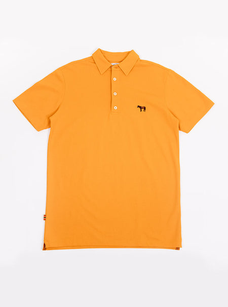 Flat lay of men's gold yellow polo shirt in 100% cotton with Newmarket 875 horse logo embroidered on the front.